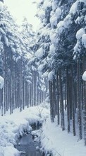 Lade kostenlos Hintergrundbilder Bäume,Schnee,Landschaft,Winterreifen,Flüsse für Handy oder Tablet herunter.
