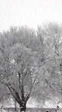 Lade kostenlos 240x320 Hintergrundbilder Landschaft,Winterreifen,Bäume,Schnee für Handy oder Tablet herunter.