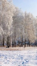 Lade kostenlos 800x480 Hintergrundbilder Landschaft,Winterreifen,Bäume,Schnee für Handy oder Tablet herunter.