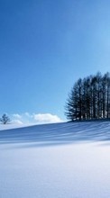Lade kostenlos Hintergrundbilder Bäume,Landschaft,Schnee,Winterreifen für Handy oder Tablet herunter.