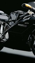 Lade kostenlos 240x400 Hintergrundbilder Transport,Motorräder,Ducati für Handy oder Tablet herunter.