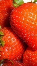 Lade kostenlos 320x480 Hintergrundbilder Obst,Lebensmittel,Erdbeere,Berries für Handy oder Tablet herunter.