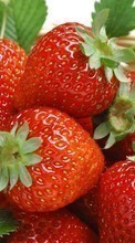 Lade kostenlos 128x160 Hintergrundbilder Obst,Lebensmittel,Erdbeere,Berries für Handy oder Tablet herunter.