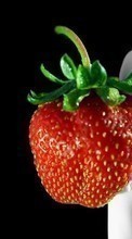 Lade kostenlos 1024x600 Hintergrundbilder Obst,Lebensmittel,Erdbeere,Berries für Handy oder Tablet herunter.