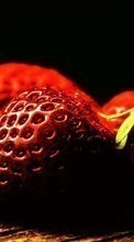 Lade kostenlos 1080x1920 Hintergrundbilder Pflanzen,Obst,Lebensmittel,Erdbeere,Berries für Handy oder Tablet herunter.