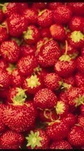 Lade kostenlos Hintergrundbilder Lebensmittel,Erdbeere,Berries für Handy oder Tablet herunter.