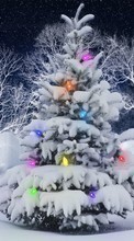 Lade kostenlos Hintergrundbilder Tannenbaum,Weihnachten,Feiertage,Neujahr,Schnee für Handy oder Tablet herunter.