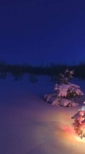 Lade kostenlos Hintergrundbilder Feiertage,Neujahr,Schnee,Tannenbaum für Handy oder Tablet herunter.