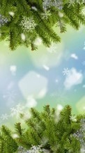 Lade kostenlos Hintergrundbilder Feiertage,Neujahr,Tannenbaum,Schneeflocken für Handy oder Tablet herunter.