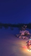 Lade kostenlos Hintergrundbilder Tannenbaum,Landschaft,Schnee,Winterreifen für Handy oder Tablet herunter.