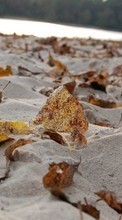 Lade kostenlos Hintergrundbilder Hintergrund,Herbst,Blätter,Strand,Sand für Handy oder Tablet herunter.