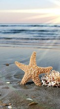 Lade kostenlos Hintergrundbilder Hintergrund,Sea,Sun,Strand für Handy oder Tablet herunter.