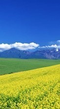 Lade kostenlos Hintergrundbilder Felder,Sky,Mountains,Landschaft für Handy oder Tablet herunter.