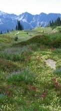 Lade kostenlos 800x480 Hintergrundbilder Landschaft,Grass,Mountains für Handy oder Tablet herunter.