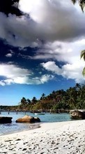 Lade kostenlos Hintergrundbilder Landschaft,Wasser,Stones,Sky,Sea,Strand,Palms für Handy oder Tablet herunter.
