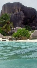 Lade kostenlos Hintergrundbilder Landschaft,Wasser,Stones,Sea,Strand,Palms für Handy oder Tablet herunter.
