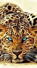 Lade kostenlos Hintergrundbilder Leopards,Bilder,Tiere für Handy oder Tablet herunter.
