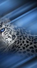Lade kostenlos 540x960 Hintergrundbilder Tiere,Leopards für Handy oder Tablet herunter.