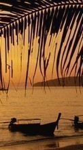 Lade kostenlos Hintergrundbilder Palms,Boote,Landschaft,Sunset,Sea für Handy oder Tablet herunter.