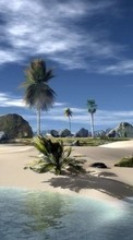 Lade kostenlos 320x240 Hintergrundbilder Landschaft,Sky,Sea,Strand,Palms für Handy oder Tablet herunter.