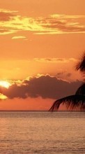 Lade kostenlos 800x480 Hintergrundbilder Landschaft,Sunset,Sky,Sea,Sun,Palms für Handy oder Tablet herunter.