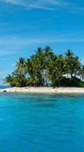 Lade kostenlos Hintergrundbilder Sea,Palms,Landschaft für Handy oder Tablet herunter.
