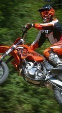 Lade kostenlos Hintergrundbilder Sport,Transport,Motorräder,Motocross für Handy oder Tablet herunter.