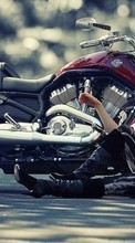 Lade kostenlos Hintergrundbilder Motorräder,Transport für Handy oder Tablet herunter.