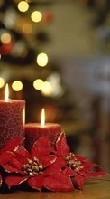 Lade kostenlos 240x320 Hintergrundbilder Feiertage,Neujahr,Weihnachten,Kerzen für Handy oder Tablet herunter.
