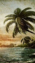 Lade kostenlos Hintergrundbilder Palms,Landschaft,Strand,Bilder für Handy oder Tablet herunter.