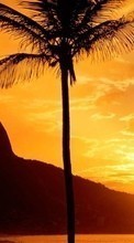 Lade kostenlos Hintergrundbilder Palms,Landschaft,Sunset für Handy oder Tablet herunter.