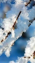 Lade kostenlos 240x320 Hintergrundbilder Landschaft,Winterreifen,Schnee für Handy oder Tablet herunter.