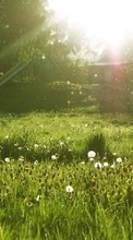 Lade kostenlos Hintergrundbilder Landschaft,Sun,Grass für Handy oder Tablet herunter.