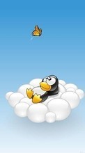 Lade kostenlos 320x480 Hintergrundbilder Pinguins,Bilder für Handy oder Tablet herunter.