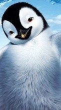 Lade kostenlos Hintergrundbilder Pinguins,Bilder,Tiere für Handy oder Tablet herunter.
