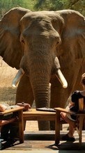 Lade kostenlos Hintergrundbilder Elephants,Tiere für Handy oder Tablet herunter.