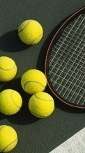 Lade kostenlos 240x320 Hintergrundbilder Sport,Tennis für Handy oder Tablet herunter.
