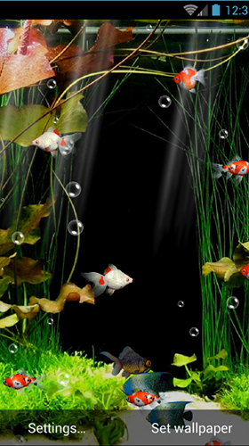 Kostenlos Live Wallpaper Aquarium  für Android Smartphones und Tablets downloaden.