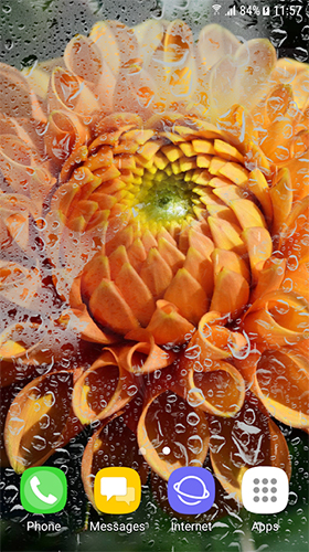 Download Interaktiv Live Wallpaper Herbst- und Winterblumen  für Android kostenlos.