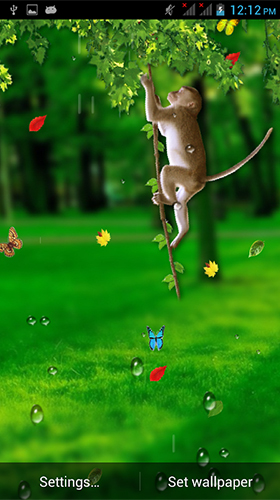 Kostenlos Live Wallpaper Lustiger Affe  für Android Smartphones und Tablets downloaden.