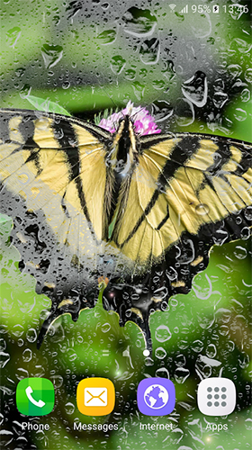 Kostenlos Live Wallpaper Makro Schmetterlinge  für Android Smartphones und Tablets downloaden.