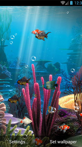 Android Hintergrundbilder Aquarium  kostenlos auf den Desktop herunterladen. 