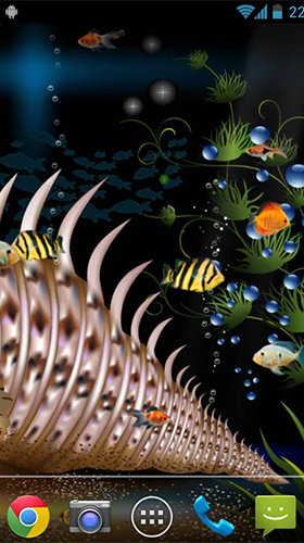 Android Hintergrundbilder Aquarium  kostenlos auf den Desktop herunterladen. 