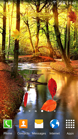 Download Landschaft Live Wallpaper Herbstwald für Android kostenlos.