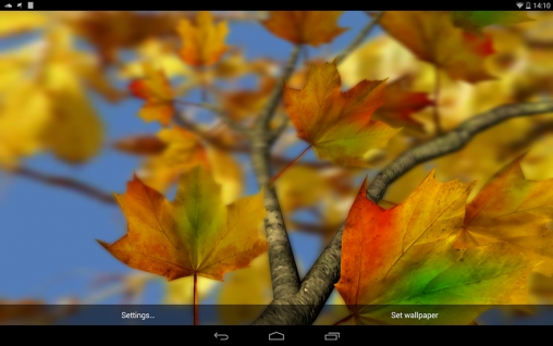 Download Landschaft Live Wallpaper Herbstblätter für Android kostenlos.