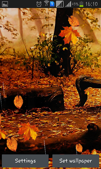 Download Landschaft Live Wallpaper Herbstregen für Android kostenlos.