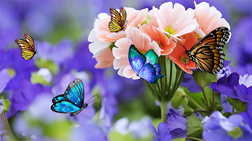 Android Hintergrundbilder Schmetterling 3D  kostenlos auf den Desktop herunterladen. 