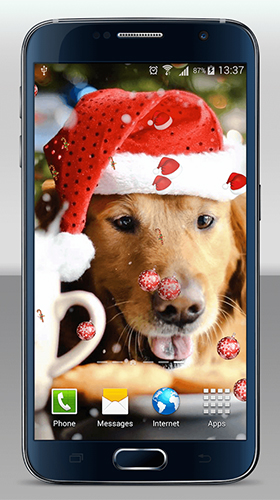 Android Hintergrundbilder Weihnachtshunde  kostenlos auf den Desktop herunterladen. 