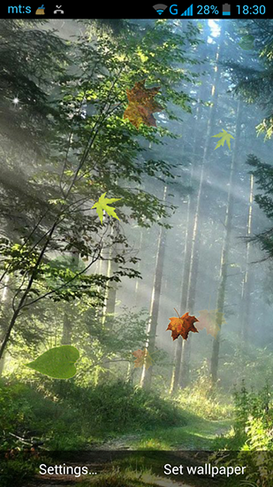 Download Landschaft Live Wallpaper Wald für Android kostenlos.