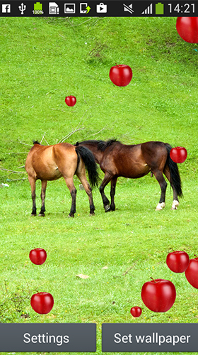 Android Hintergrundbilder Pferde  kostenlos auf den Desktop herunterladen. 